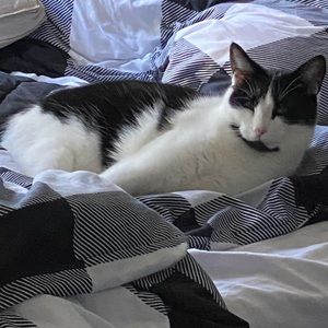 Meet your Posher, Holly